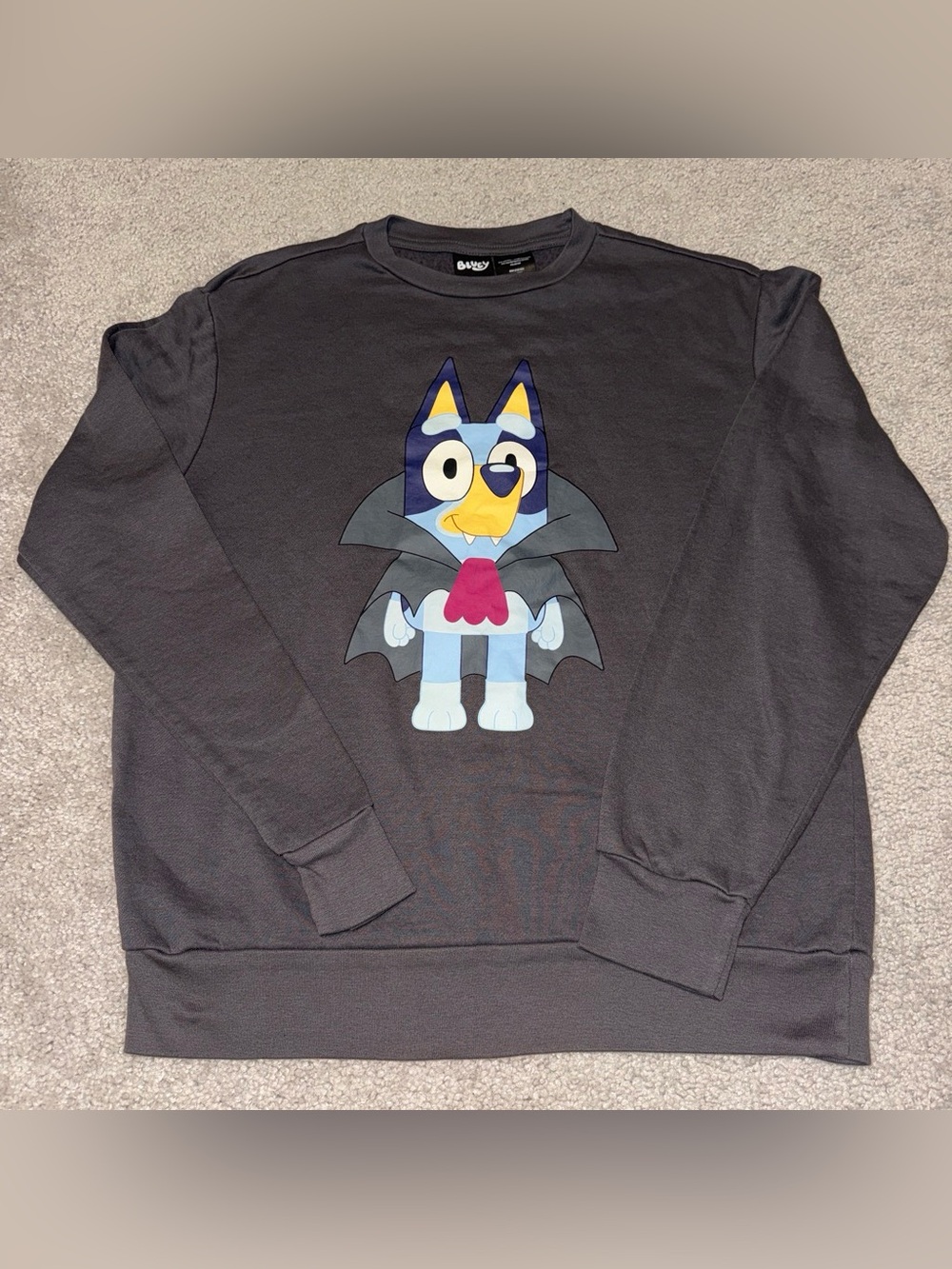 Women’s Charcoal Crewneck with Bluey Graphic